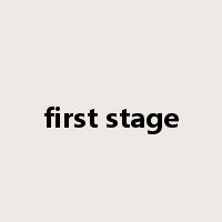 first stage是什么意思