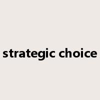 strategic choice是什么意思