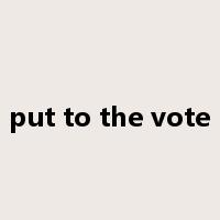 put to the vote是什么意思