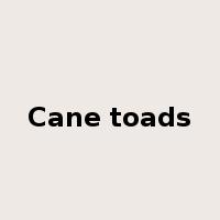 Cane toads是什么意思