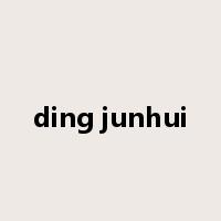ding junhui是什么意思