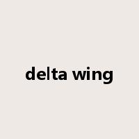 delta wing是什么意思
