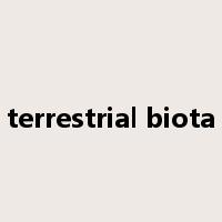 terrestrial biota是什么意思