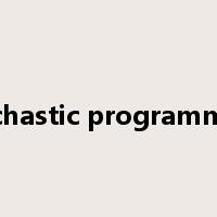 stochastic programming是什么意思