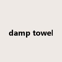 damp towel是什么意思