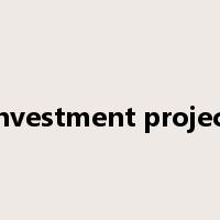 investment project是什么意思