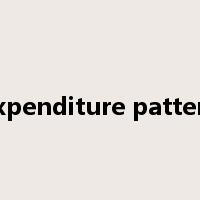 expenditure pattern是什么意思