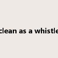 clean as a whistle是什么意思
