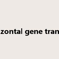 horizontal gene transfer是什么意思