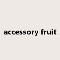 accessory fruit是什么意思