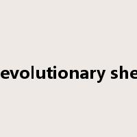 Revolutionary shell是什么意思