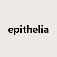 epithelia是什么意思