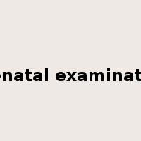 prenatal examination是什么意思