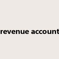 revenue account是什么意思