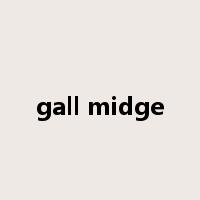gall midge是什么意思