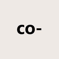 co-是什么意思