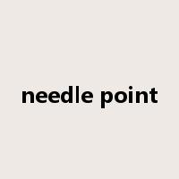 needle point是什么意思