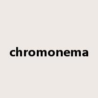 chromonema是什么意思