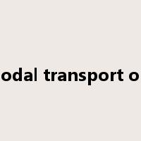 multimodal transport operator是什么意思