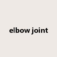 elbow joint是什么意思