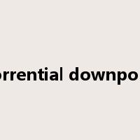torrential downpour是什么意思