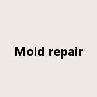 Mold repair是什么意思