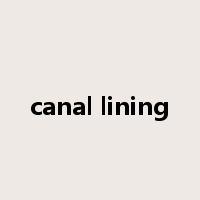 canal lining是什么意思