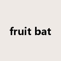 fruit bat是什么意思