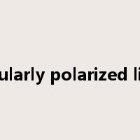 circularly polarized light是什么意思