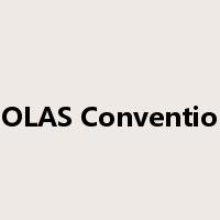 SOLAS Convention是什么意思