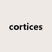 cortices是什么意思