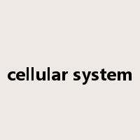 cellular system是什么意思