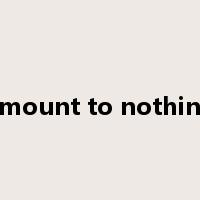 amount to nothing是什么意思