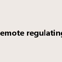 remote regulating是什么意思