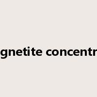 magnetite concentrate是什么意思