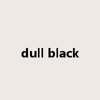 dull black是什么意思
