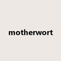 motherwort是什么意思