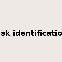 risk identification是什么意思