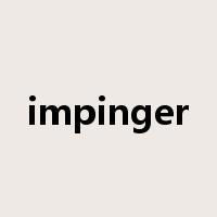 impinger是什么意思