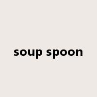 soup spoon是什么意思