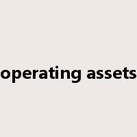 operating assets是什么意思