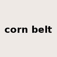 corn belt是什么意思