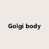 Golgi body是什么意思
