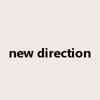 new direction是什么意思