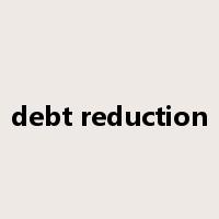 debt reduction是什么意思