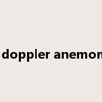 laser doppler anemometer是什么意思