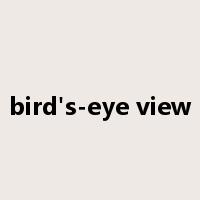 bird's-eye view是什么意思