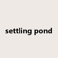 settling pond是什么意思