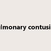 pulmonary contusion是什么意思