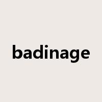 badinage是什么意思